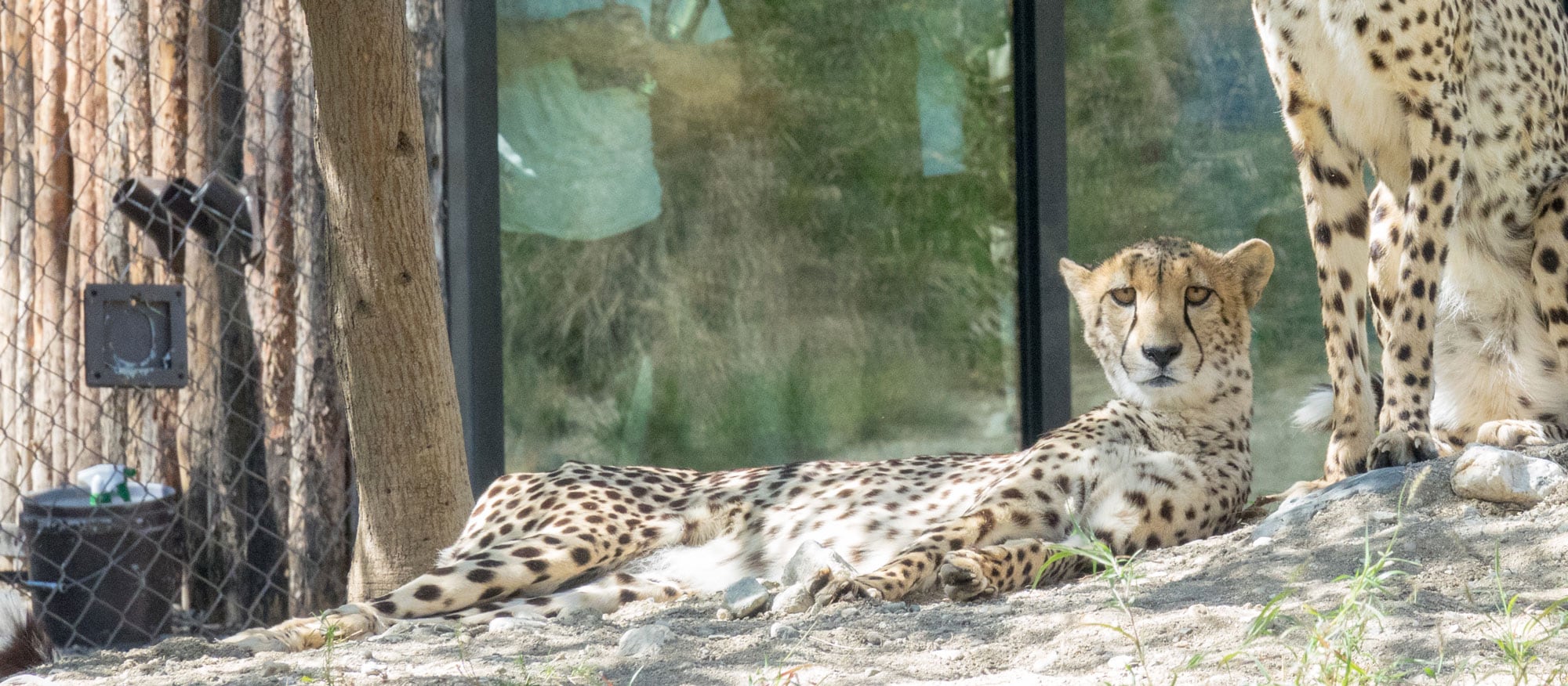 PLACES TO LOVE - Greater Palm Springs - Samantha Brown